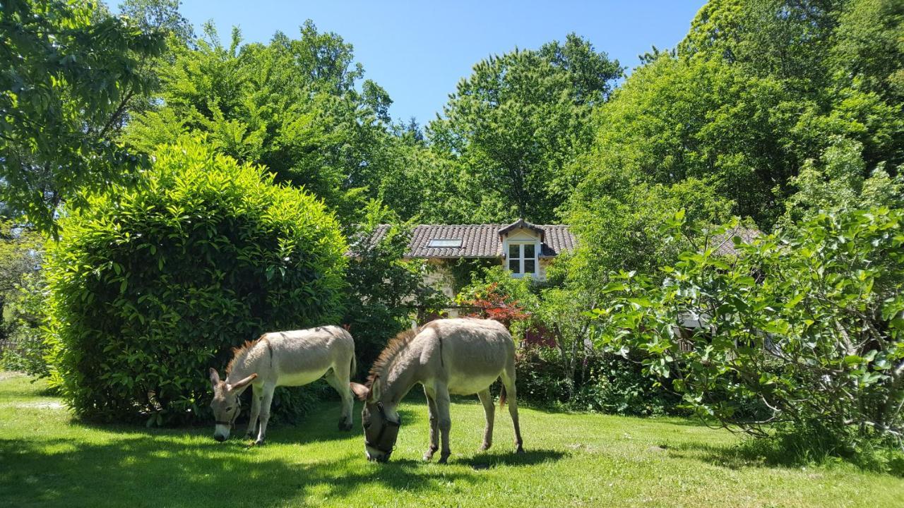 Le Moulin De Pensol Villa Eksteriør bilde