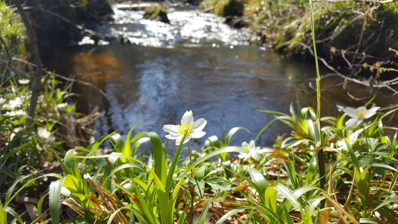 Le Moulin De Pensol - Gites Eksteriør bilde